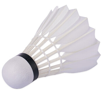 亚狮龙专业比赛鸭毛羽毛球稳定耐打金冠C4号77速12只装/桶