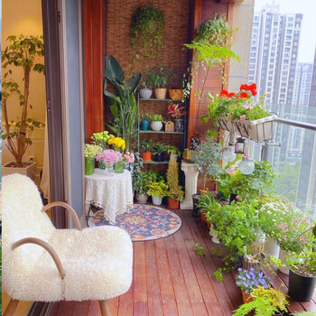 送货上门 玫瑰月季绣球花蓝雪花绿萝长寿花蝴蝶兰柠檬树天堂鸟龟背竹上门布置阳台花园复古时光小花园 图片价格品牌报价 京东