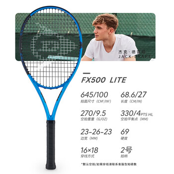 FX500排行- 京东 DUNLOP FX500 LS 2023 G2【12/27 MACH-10張上】