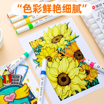 爱好（AIHAO）12色双头丙烯马克笔学生DIY美术绘画马克笔彩绘套装5570-12水彩笔美育画画笔毕业礼物