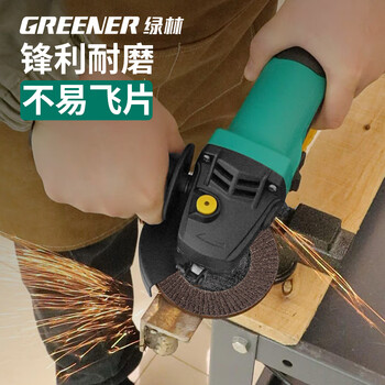 绿林（GREENER）百叶片80目10片100*16角磨机砂轮片抛光打磨片角磨片