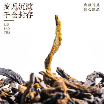 中谷御品茶叶特级六堡茶黑茶2010年窖藏广西熟茶送礼茶叶礼盒300g