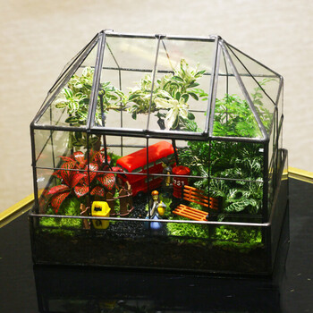 国外玻璃花房 高端盆栽送礼生态瓶成品办公室桌面苔藓微景观未来可期 材料包组装款 图片价格品牌报价 京东