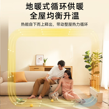 小熊（Bear）（HWD）石墨烯取暖器 家用地暖式循环对流电热取暖神器全屋升温 浴室防水干衣电暖气片DNQ-P20G5