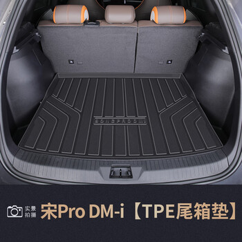 元族适用于2022款22比亚迪宋prodmi专用tpe后备箱垫pro尾箱垫新配件