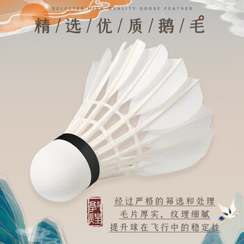 川崎（KAWASAKI）羽毛球训飞天6号耐打专业比赛训练鹅毛球10个装