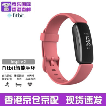 Fitbit健康监测- 京东