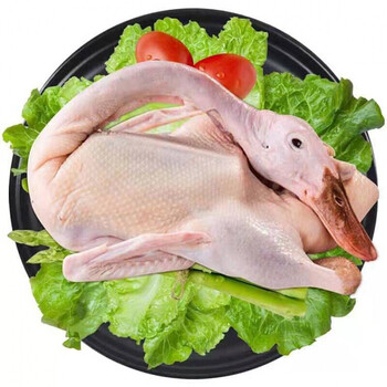 农家老鸭净重土鸭麻鸭水鸭草鸭走地鸭番鸭白鸭展志曼智腾旺纳跃老鸭