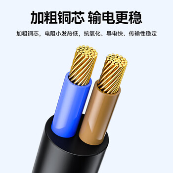 山泽 两孔电源延长线二插芯3米【3C认证】 电动车空调电脑电视主机插线板/插座头加长线DY-15