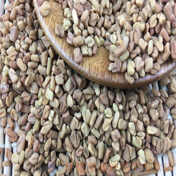 芦巴子葫芦巴500克葫芦巴籽香草籽香豆子芦巴子芦罢子500g