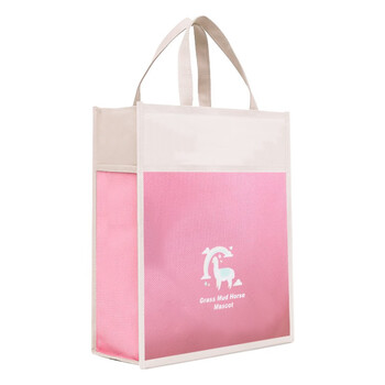 誉禾学生补习袋大容量书包手提袋拎书袋儿童可爱美术袋补课袋三层补习包帆布包 6173粉色 誉禾学生补习袋大容量书包手提袋拎书袋儿童可爱美术袋补课袋三层补习包帆布包 6173粉色