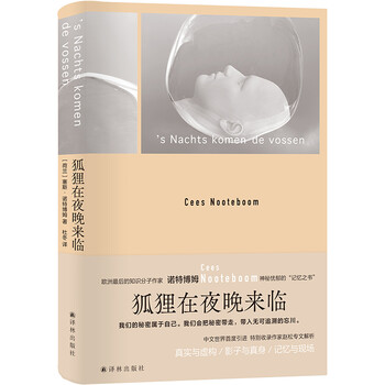 诺特博姆作品:狐狸在夜晚来临