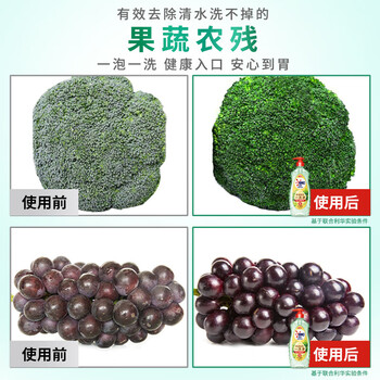 奥妙（OMO） 酵素餐具净白桃洋甘菊香型 500g 去重油 去农残 温和不伤手