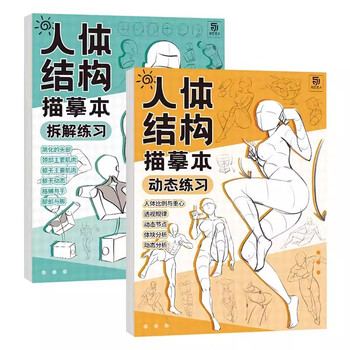 人体结构绘画教学 最新版 漫画人体结构- 京东