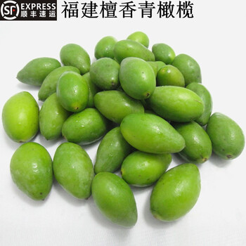 顺丰速运福建闽清特产2号檀香橄榄当季现摘现发新鲜生吃甜种青橄榄果