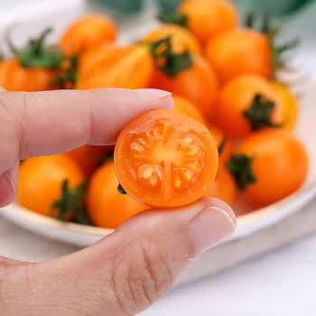 (顺丰速运)珠珠小黄番茄 黄金圣女果 现摘现发 黄色珍珠迷彩小番茄