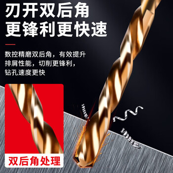 德力西电气（DELIXI ELECTRIC）高硬度麻花钻头不锈钢合金钢铁高速钢打孔DLX-042T【25件套】