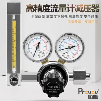 铂唯YQBL-731L双表氮气减压器带流量计压力实验可调节标气氢气氧气co2 双表高精度25ML/Min