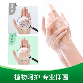 滴露（Dettol）健康抑菌洗手液滋润倍护清洁 滋润倍护450g+经典松木450g