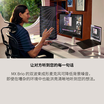 罗技（Logitech）大师系列 MX Brio 700 4K高清摄像头 网络直播摄像头 视频通话 会议网课 带隐私保护盖 石墨黑