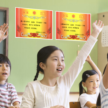 DSB（迪士比）A4奖状纸获奖证书中小学生表扬表彰教师通用荣誉证书加厚双胶纸 经典款50张/包80g50911