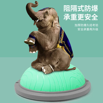 PROIRON普力艾 平衡波速球加厚半圆平衡球普拉提健身塑形家用拉力绳 紫