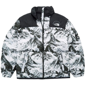 the north face北面tnf22冬款鹅绒限量拼色保暖立领雪山羽绒服  m码