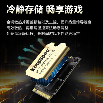 金胜维（KingSpec）512GB SSD固态硬盘NVMe 2230 M.2接口 PCIe4.0 读速5000MB/s 适配SteamDeck掌机