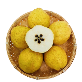 悠妃 河北鸭广梨渣子梨 新鲜鸭儿广梨疙瘩梨 水果 5斤大果