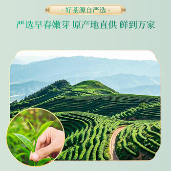 第一江南茉莉花茶横县浓香特级200g茉莉龙豪花草茶叶礼盒春茶端午节送礼品