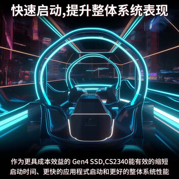 必恩威（PNY） CS2340系列 1TB SSD固态硬盘 NVMe协议 PCIe 4.0 M.2接口