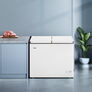 海尔（Haier）216升双温双箱商用家用冰柜 蝶门卧式冰柜家用小型冰箱冷柜FCD-216LHSD