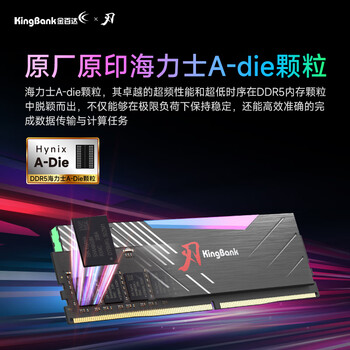 金百达（KINGBANK）32GB(16GBX2)套装 DDR5 6000 台式机内存条海力士A-die颗粒 黑刃RGB灯条 C28 Deepseek硬件