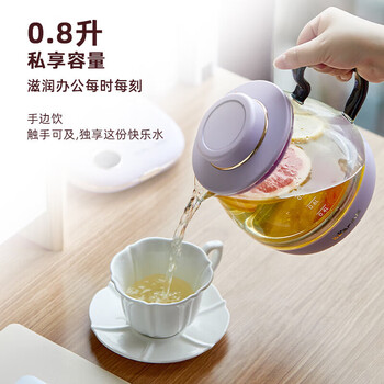 小熊养生壶 养生杯 0.8L迷你烧水壶 煮茶壶 多功能私享花茶壶 电热水壶 开水壶 私享小壶 YSH-C08N1