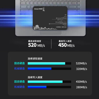 长城（Great Wall) 240GB SSD固态硬盘 SATA3.0接口 读速520MB/S台式机/笔记本通用 GW520系列