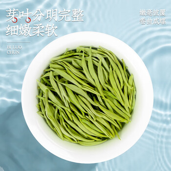 音朗 茶叶绿茶 碧螺春明前特级2026新茶苏州产花果香茶礼盒送长辈500g