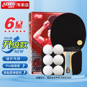 红双喜DHS狂飚六星乒乓球拍横拍反胶弧圈结合快攻H6002含拍包