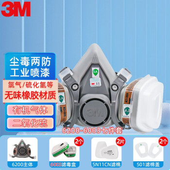 3M 6200防毒面具面罩 呼吸防护用品口罩 防有机蒸气/氯化氢等 6200+6003七件套简装