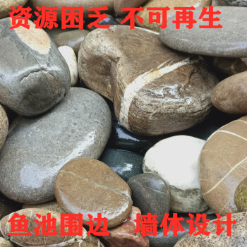 鹅卵石石头大块河卵原石溪流大块压菜鹅卵乌龟晒背石头庭院景观造景花园铺路鱼缸不规则花园围边50斤收藏加购送5斤 图片价格品牌报价 京东