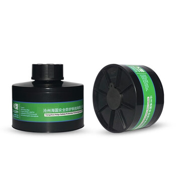 海固（HAIGU）P-K-2 防毒面具滤毒罐 防氨 防护过滤配件 2级过滤件 绿色