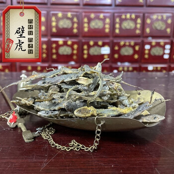 融草集中药材店铺壁虎实体中药房药材齐全药典标准中草药天龙壁虎10克