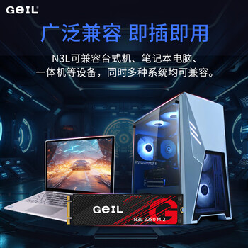 GEIL金邦 1TB SSD固态硬盘 M.2 SATA协议 2280 NGFF 台式机笔记本 高速500MB/S N3L系列