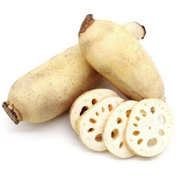 莲藕现挖新鲜脆藕带泥农家特产花香藕蔬菜批发九孔嫩藕甜藕生莲藕脆藕