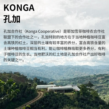 LUJIAZUI鹿家嘴埃塞耶加雪菲 孔加G1原生种浅度烘焙手冲单品咖啡豆200g