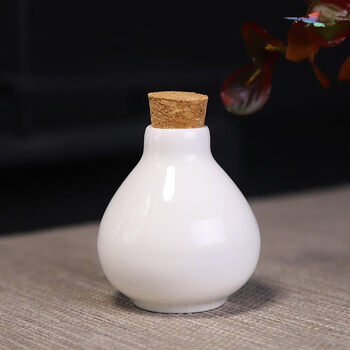 恩尔美同款小瓷瓶古代装药陶瓷小药瓶复古创意带盖密封茶叶罐小号随身