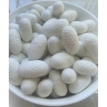 带蛹洗脸入药泡茶喝抽丝蚕茧球壳蚕壳 50只精选完整蚕茧内含烘干蚕蛹