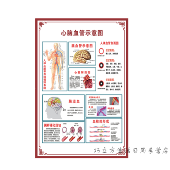 人體內臟解剖系統示意圖醫學骨骼肌肉器官血管血液結構圖醫院海報心腦