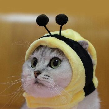 头饰猫头圈猫头罩可爱搞笑搞怪卡通宠物帽子服装配饰小蜜蜂xs23斤之内