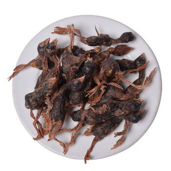 猫零食小鹌鹑冻干幼猫咪零食发腮成猫营养增肥补钙冻肉干鹌鹑猫粮