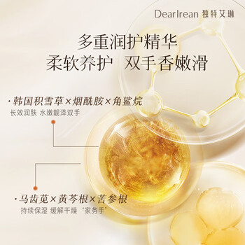 独特艾琳（Dear lrean）香氛洗手液液体清洁泡沫丰富不伤手顺滑持久留香橡木苔的夏290g
